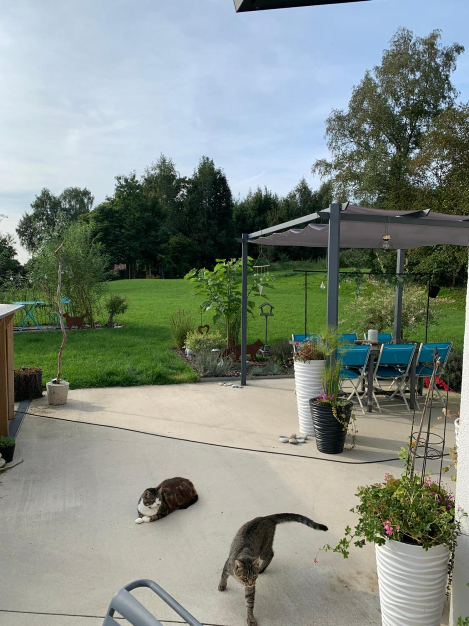 Faymonville Chez Isa B&B 외부 사진